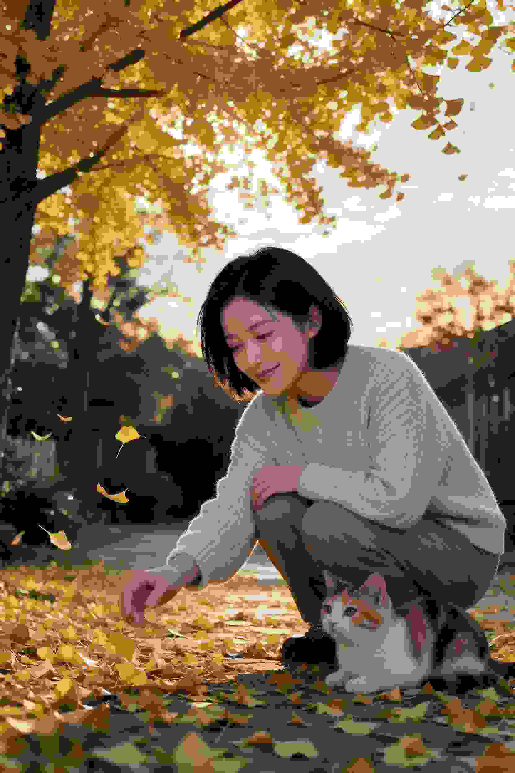 剧集1